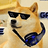 Gamer_Doge