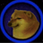 iXTS_bark1