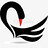 Swan_YT
